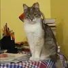 Отзыв от Алиса Смирнова